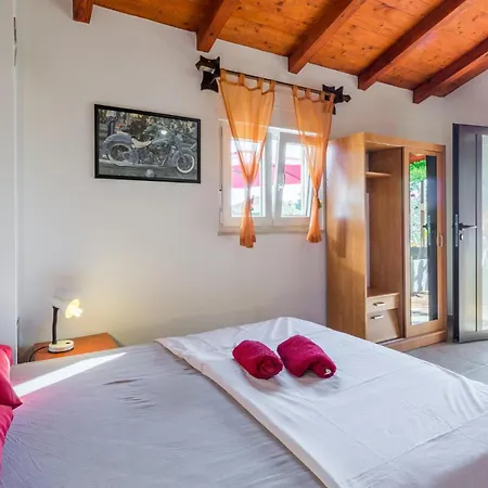 Apartman Pet Friendly In *