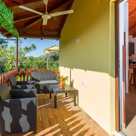 Pet Friendly In Apartman *
