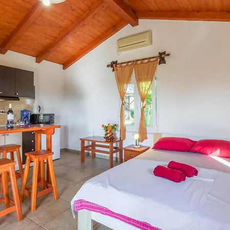 Pet Friendly In Apartman *