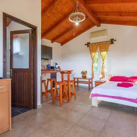 Pet Friendly In * Póla