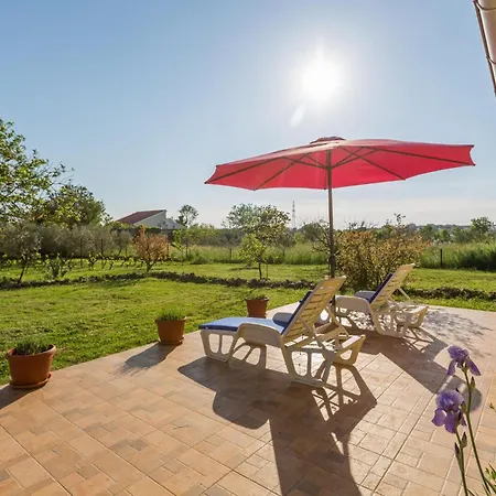 Pet Friendly In * Pula